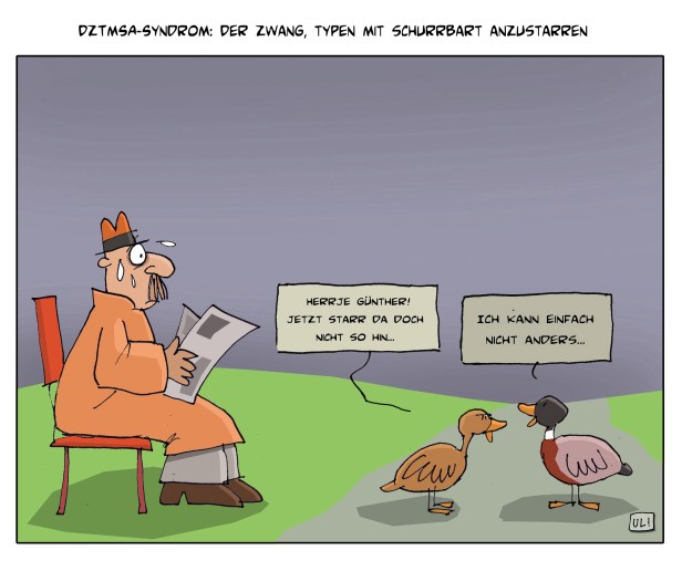 Enten Bild 2,9